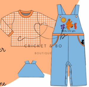 Bear Boys Overall
